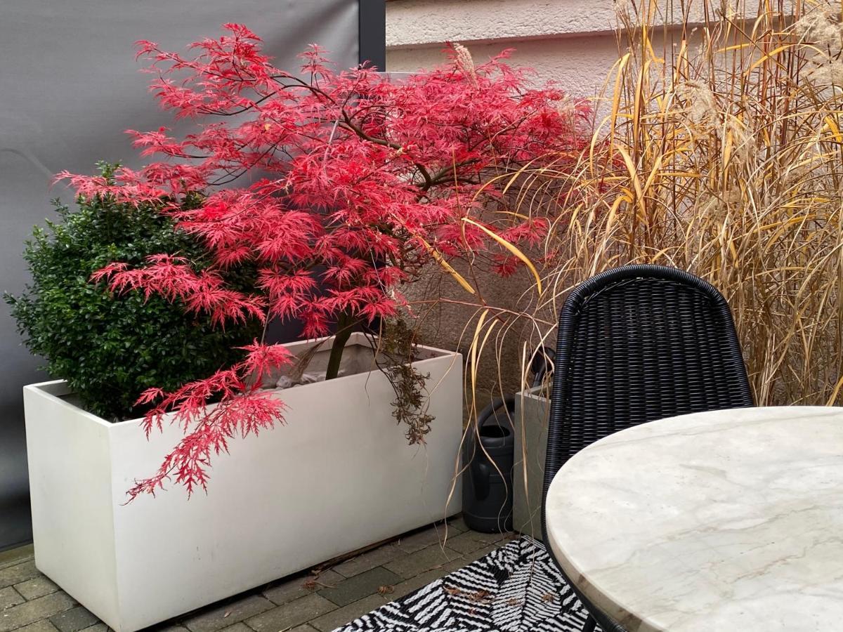 Como Design-Apartment Close To Isar River Area - Centrally Located มิวนิก ภายนอก รูปภาพ